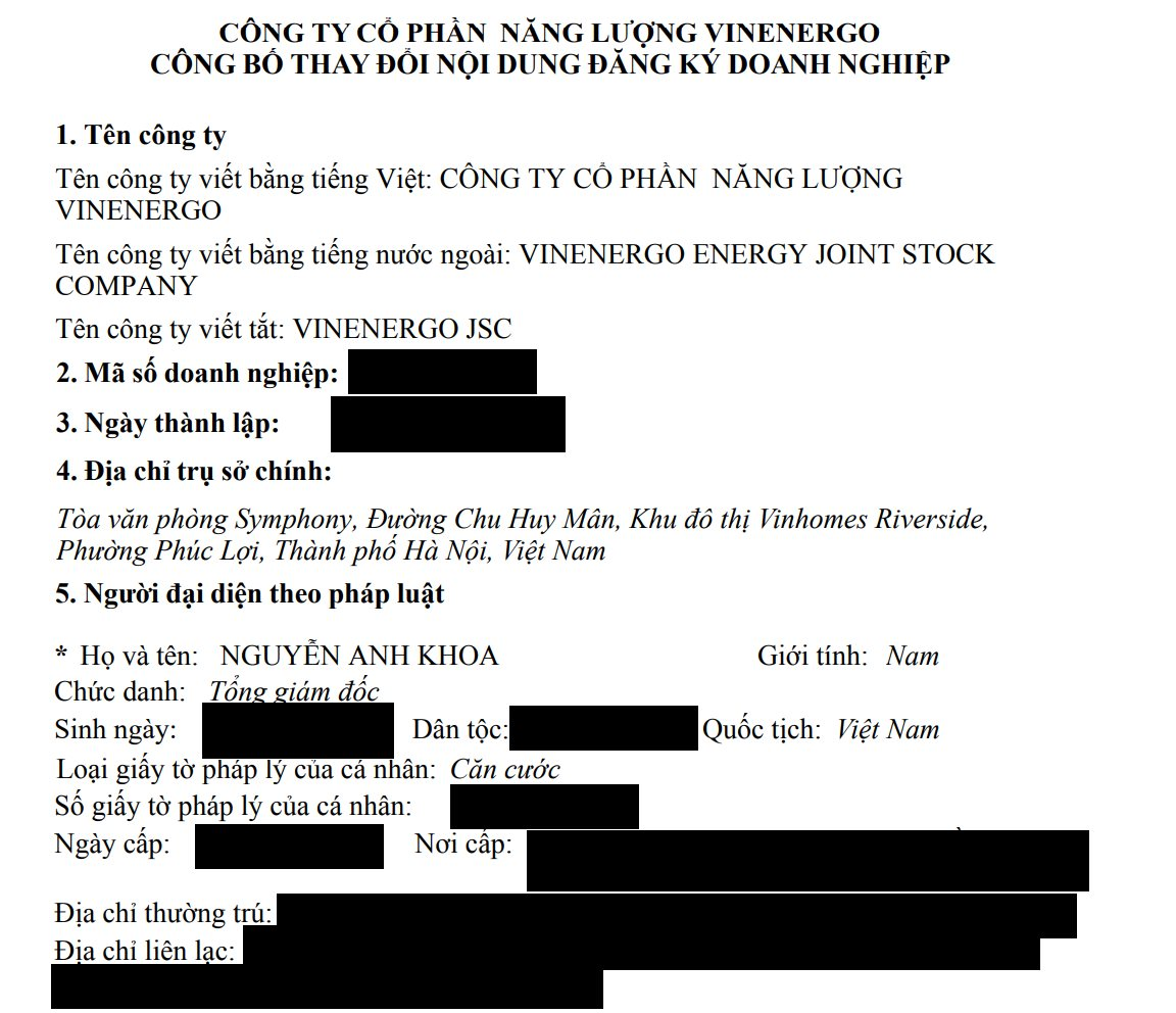 VinEnergo của tỷ phú Phạm Nhật Vượng có "tướng" mới: Là người cũ của VinaCapital- Ảnh 2.