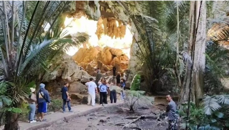 Phát hiện loài sinh vật hiếm chỉ xuất hiện vài ngày mỗi năm, du khách nối đuôi nhau đến tận nơi xem - Ảnh 3.