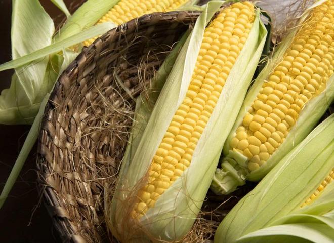 7 nhóm thực phẩm được coi là "thuốc nhỏ mắt tự nhiên" có sẵn trên bàn ăn: Tất cả đều dễ tìm ở ngoài chợ - Ảnh 3. 7 nhóm thực phẩm được coi là "thuốc nhỏ mắt tự nhiên" có sẵn trên bàn ăn: Tất cả đều dễ tìm ở ngoài chợ - Ảnh 3.