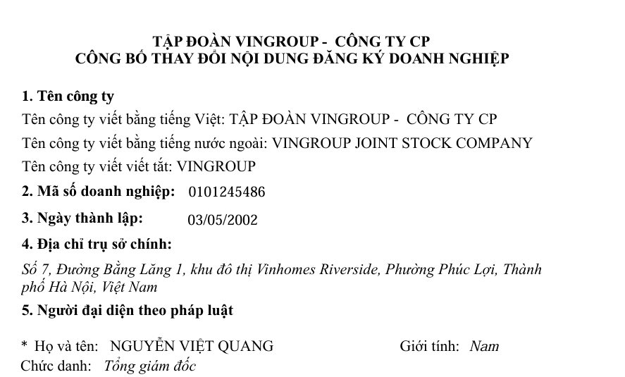 Thay đổi quan trọng của Vingroup- Ảnh 2.