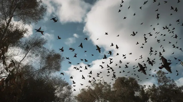 Khó tin nhưng thật: Không chỉ rắn, 6 loài vật này có khả năng dự báo thiên tai, chuẩn xác không ngờ - Ảnh 5.