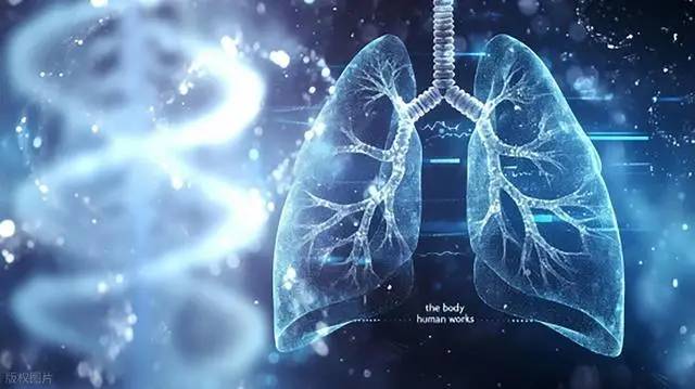 Những người có "phổi sạch" thường có 5 đặc điểm. Nếu bạn có 4 trong số đó, thì xin chúc mừng! - Ảnh 3.