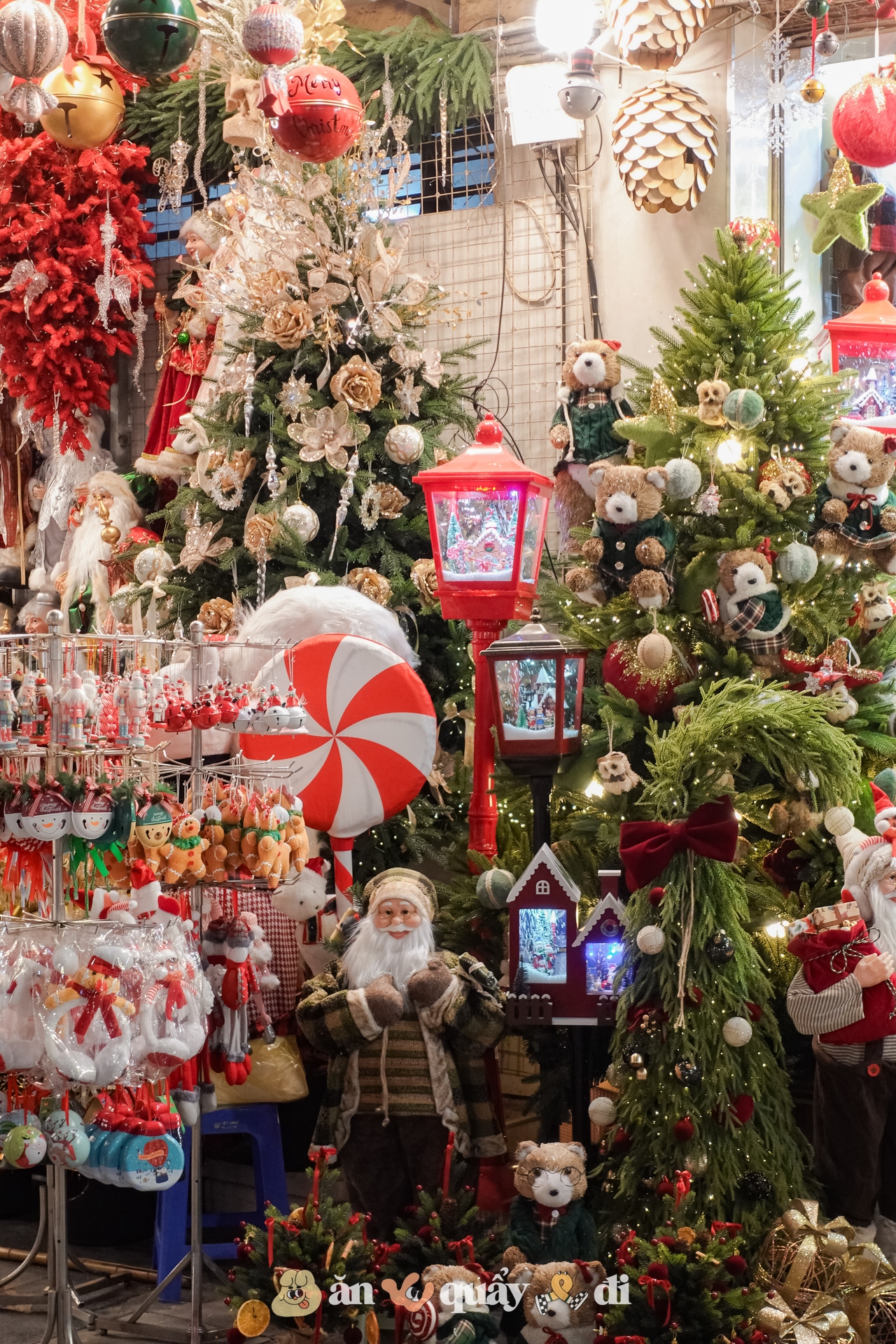 Khung cảnh rực sáng tại Hàng Mã đã trở lại- Ảnh 9. Khung cảnh rực sáng tại Hàng Mã đã trở lại- Ảnh 9.