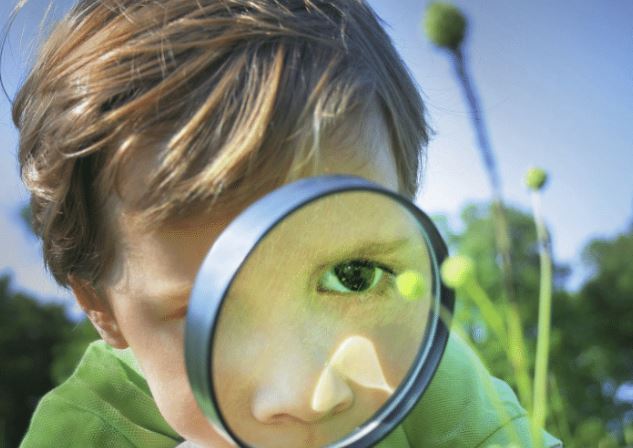 Bí mật từ nghiên cứu Harvard: 4 thứ tưởng nhỏ nhưng quyết định cả đời con bạn có thành công hay không- Ảnh 2.