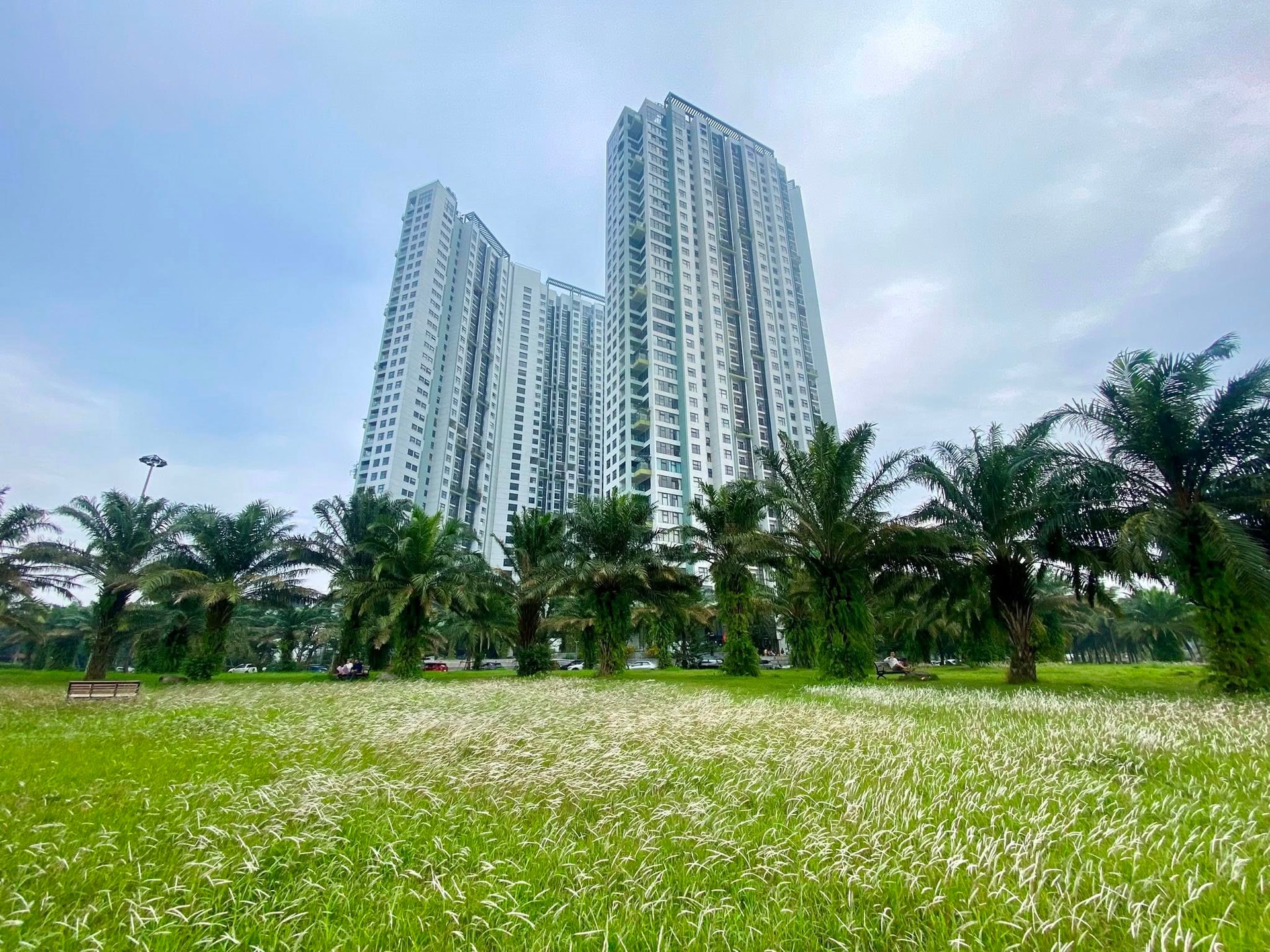 Tại sao  phân khúc cao cấp chiếm chủ đạo thị trường bất động sản?- Ảnh 1.