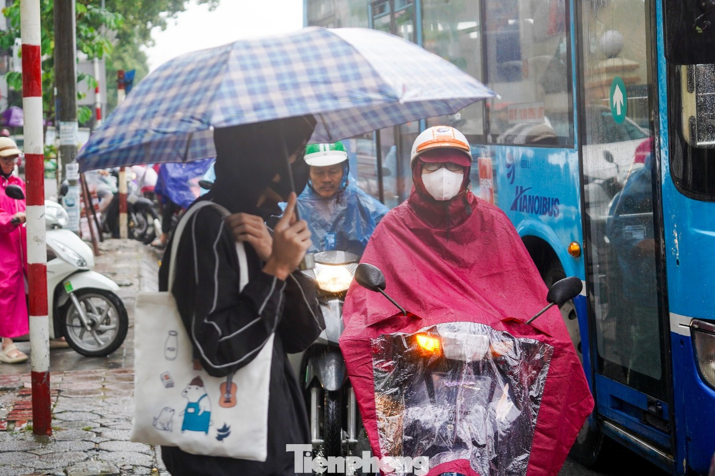 Miền Bắc sắp đón đợt không khí lạnh rất mạnh gây mưa dông, trời rét đậm- Ảnh 1.