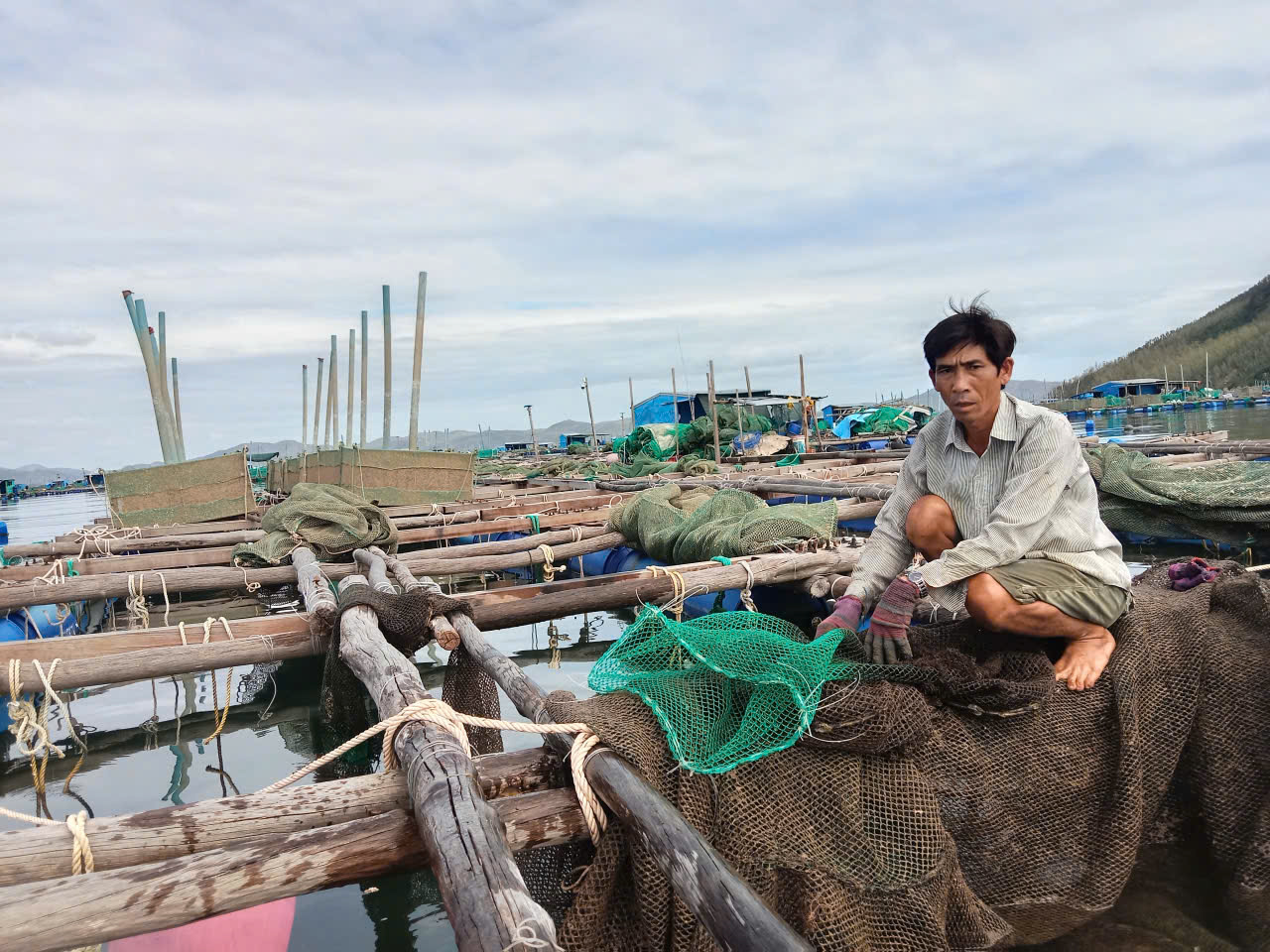 Người nuôi tôm hùm kiệt quệ sau lũ lụt - Ảnh 3.