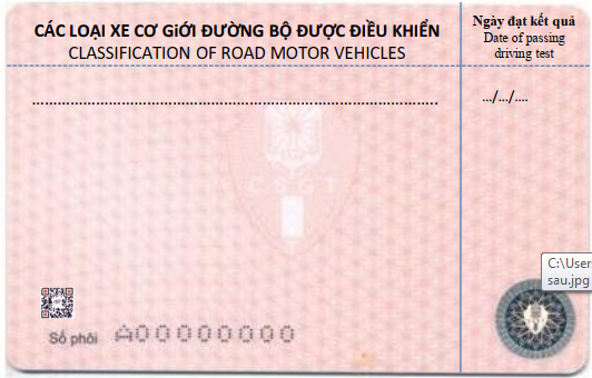 Cục CSGT đã cấp giấy phép lái xe mới màu hồng: Có bắt buộc đổi ngay trong năm nay? - Ảnh 2.