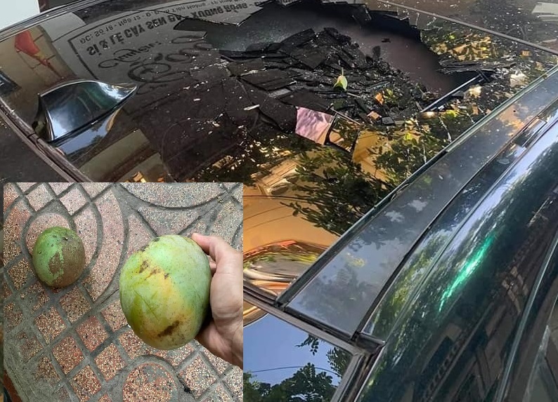 Quả xoài "tai tiếng" nhất Việt Nam: Khiến một nữ đại gia tốn cả trăm triệu vẫn chỉ biết "im lặng chịu trận"- Ảnh 4.