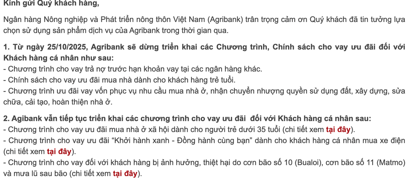 Lãi suất cho người trẻ vay mua nhà hiện ra sao?- Ảnh 1.