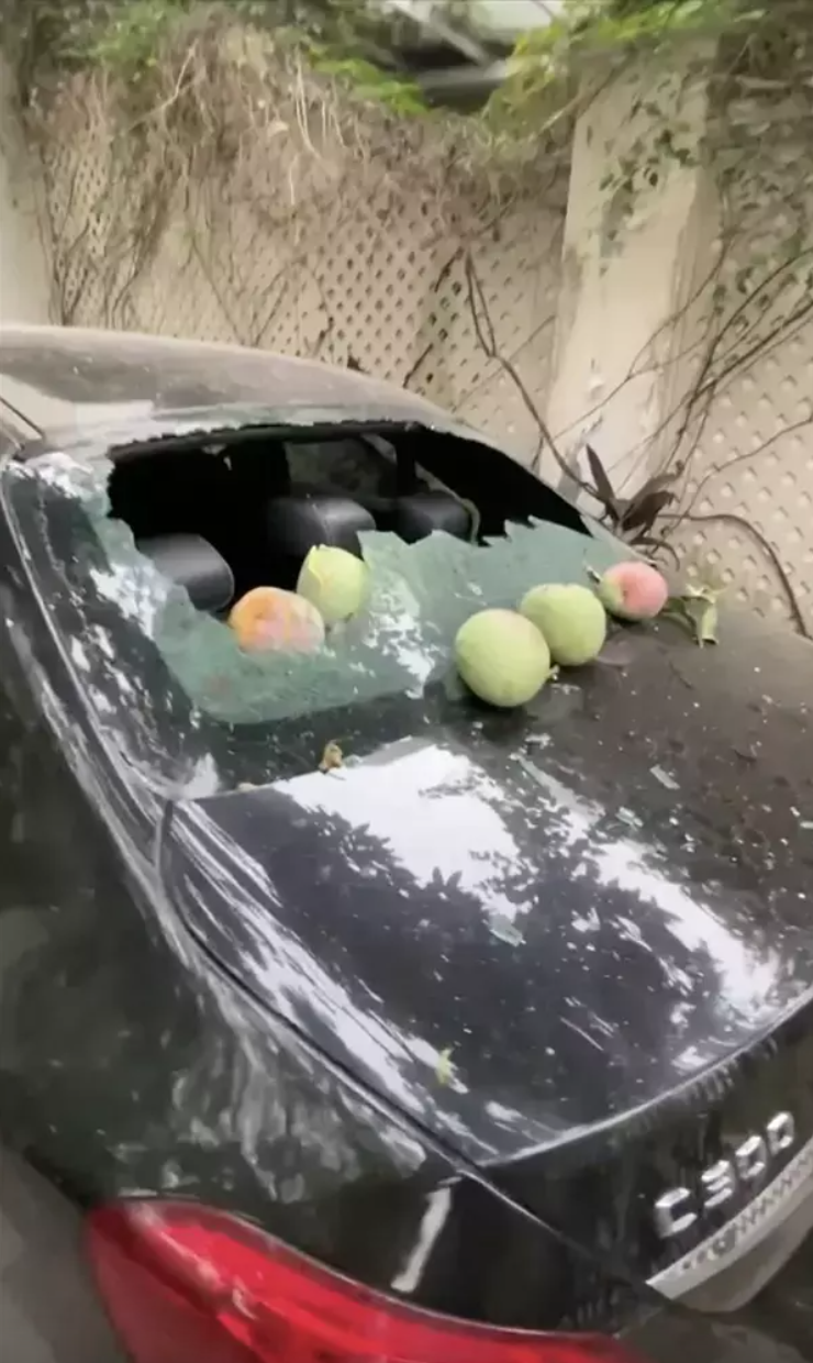 Quả xoài "tai tiếng" nhất Việt Nam: Khiến một nữ đại gia tốn cả trăm triệu vẫn chỉ biết "im lặng chịu trận"- Ảnh 3.