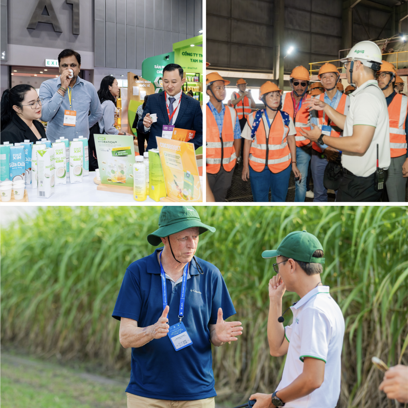 AgriS (SBT) trình làng chiến lược tăng trưởng mới 2025-2030 tại Đại hội đồng Cổ đông - Ảnh 3. AgriS (SBT) trình làng chiến lược tăng trưởng mới 2025-2030 tại Đại hội đồng Cổ đông - Ảnh 3.