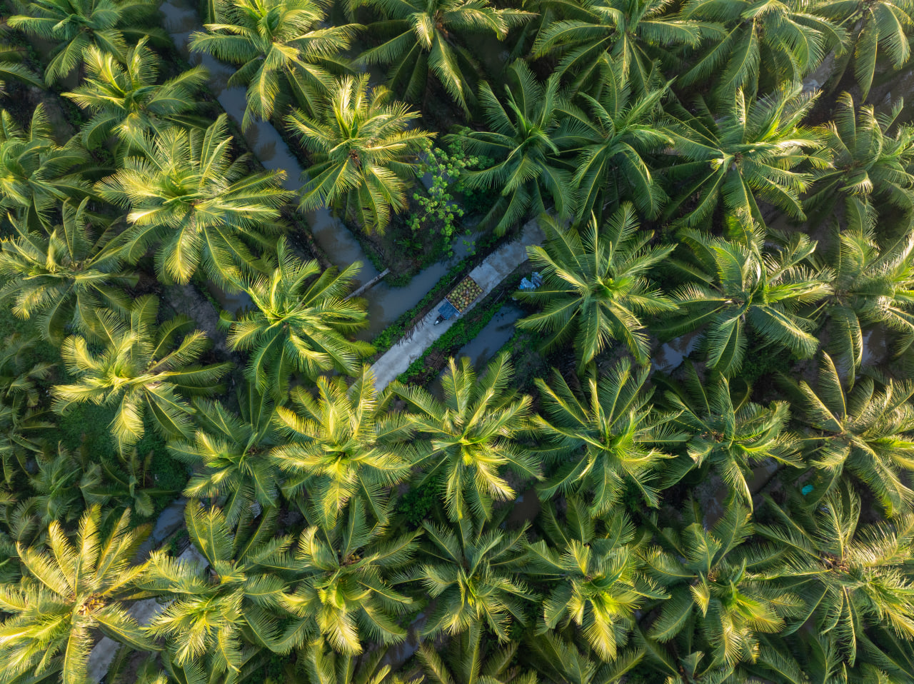 AgriS (SBT) trình làng chiến lược tăng trưởng mới 2025-2030 tại Đại hội đồng Cổ đông - Ảnh 4. AgriS (SBT) trình làng chiến lược tăng trưởng mới 2025-2030 tại Đại hội đồng Cổ đông - Ảnh 4.