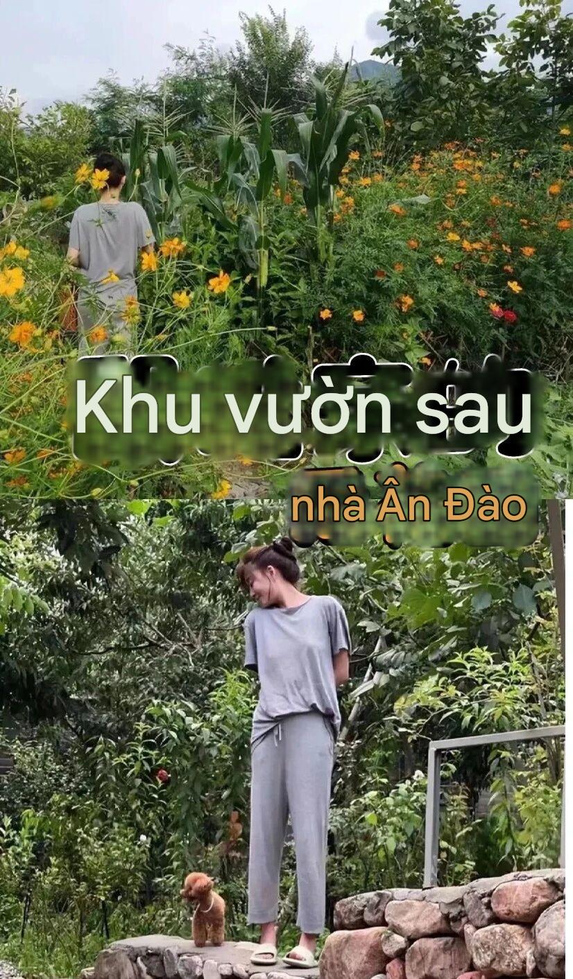 Biệt thự của "mỹ nhân có vòng eo đẹp nhất showbiz", ai đi qua cũng ngoái nhìn - Ảnh 5.