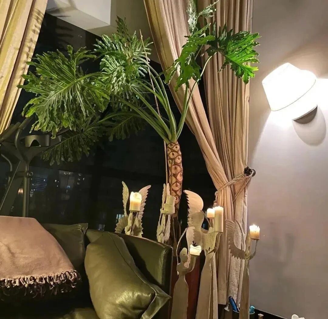 Biệt thự của "mỹ nhân có vòng eo đẹp nhất showbiz", ai đi qua cũng ngoái nhìn - Ảnh 8.