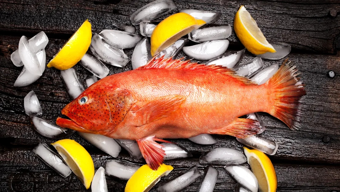 6 loại cá chứa nhiều thủy ngân bậc nhất- Ảnh 3.