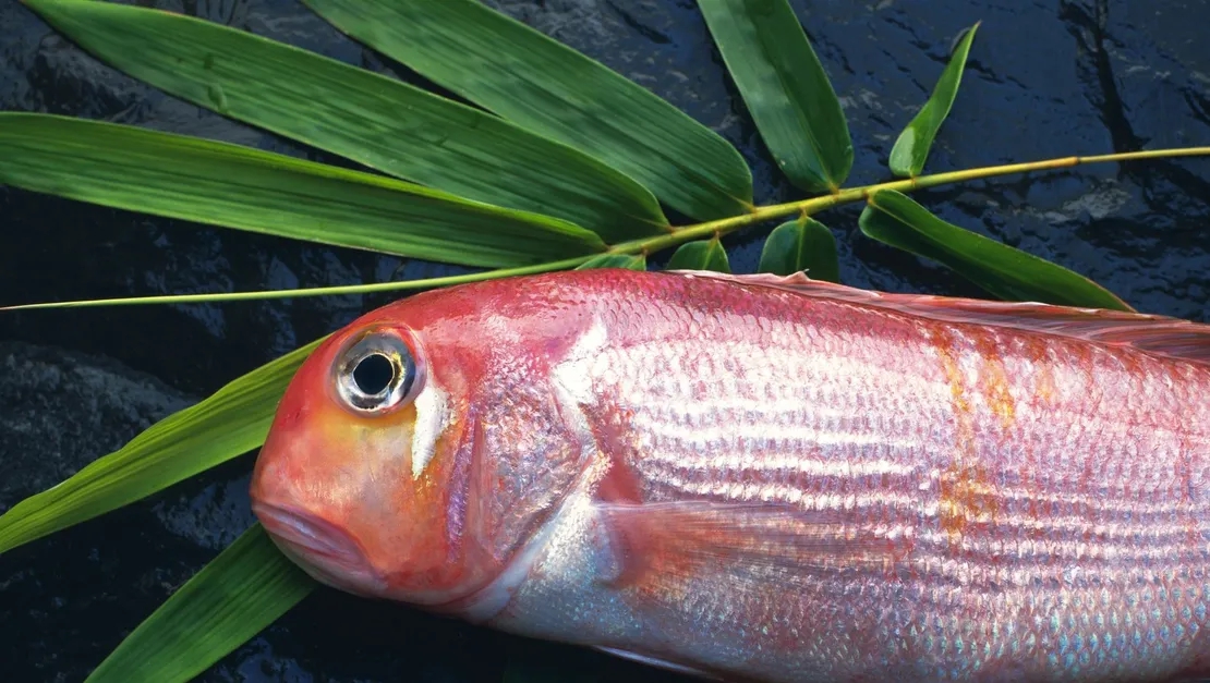 6 loại cá chứa nhiều thủy ngân bậc nhất- Ảnh 1.