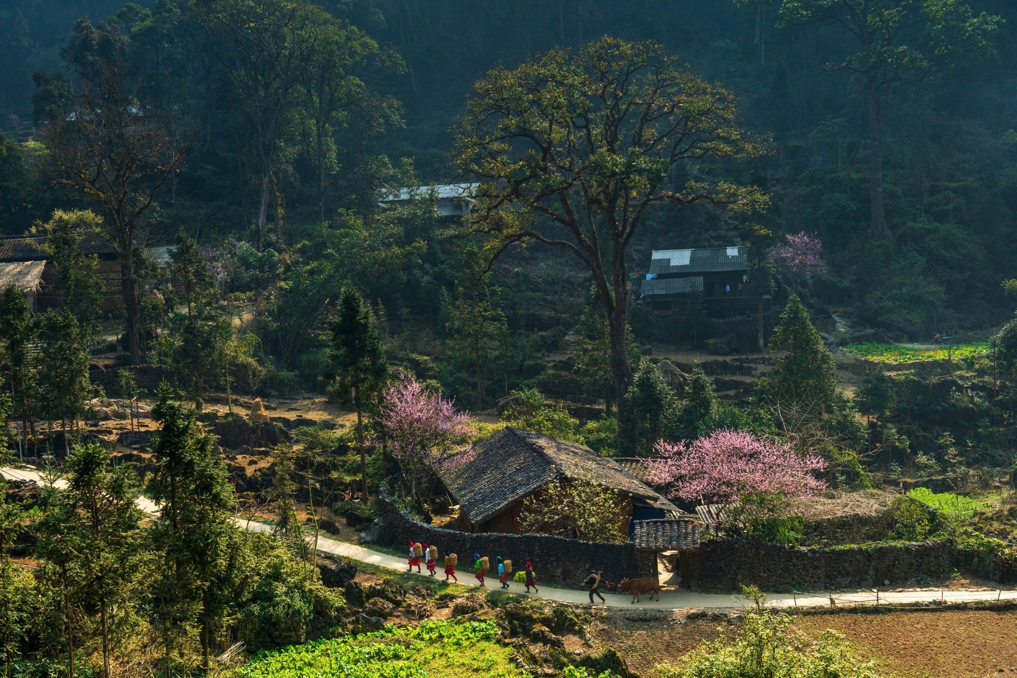 Tuyên Quang được vinh danh "Điểm đến văn hóa khu vực hàng đầu thế giới 2025" tại World Travel Awards- Ảnh 2. Tuyên Quang được vinh danh "Điểm đến văn hóa khu vực hàng đầu thế giới 2025" tại World Travel Awards- Ảnh 2.