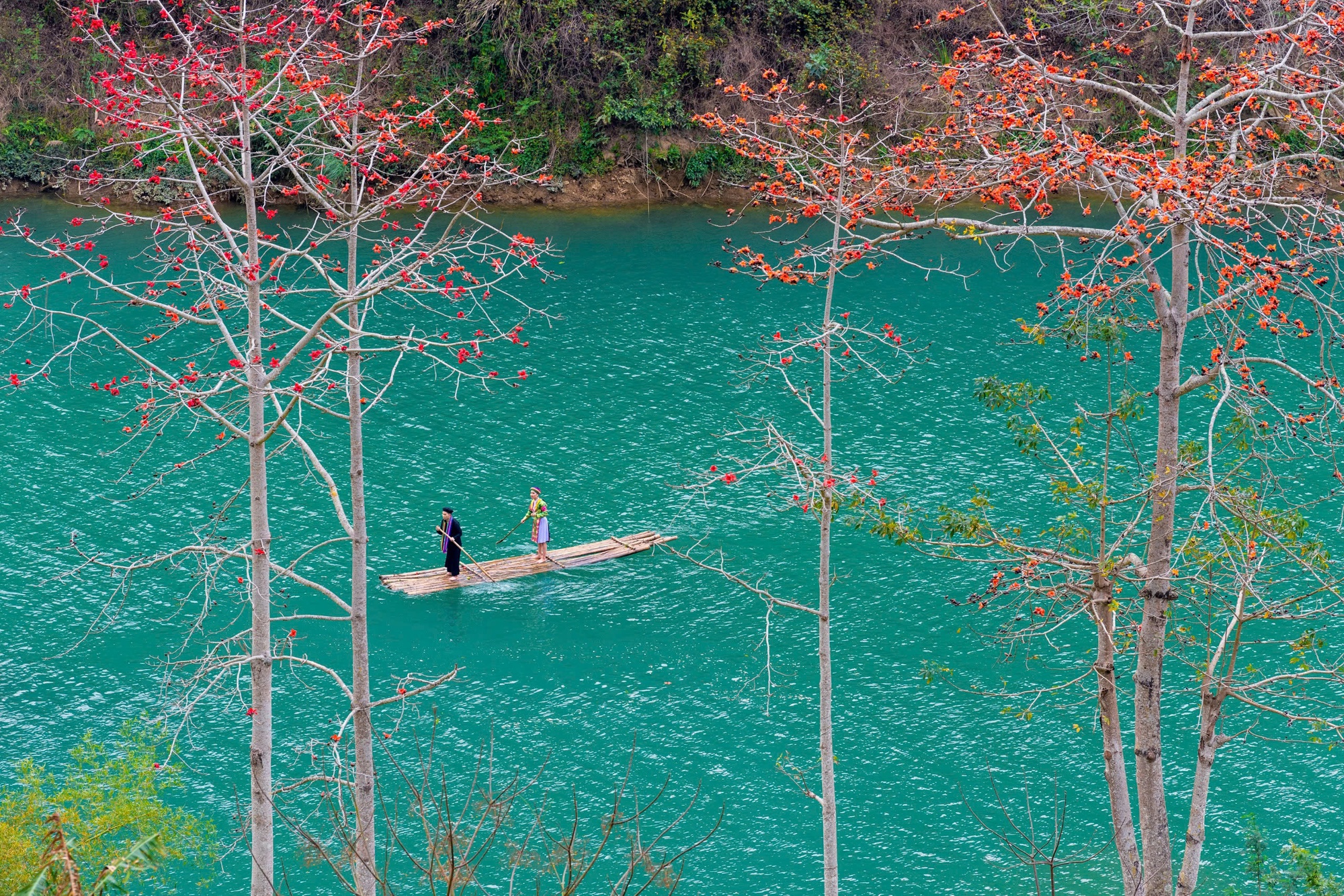 Tuyên Quang được vinh danh "Điểm đến văn hóa khu vực hàng đầu thế giới 2025" tại World Travel Awards- Ảnh 3. Tuyên Quang được vinh danh "Điểm đến văn hóa khu vực hàng đầu thế giới 2025" tại World Travel Awards- Ảnh 3.