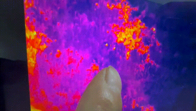 Hai đứa trẻ bỗng mất hút sau lời rỉ tai về "tiên thảo": Phụ huynh nghe xong lạnh cả sống lưng- Ảnh 2.