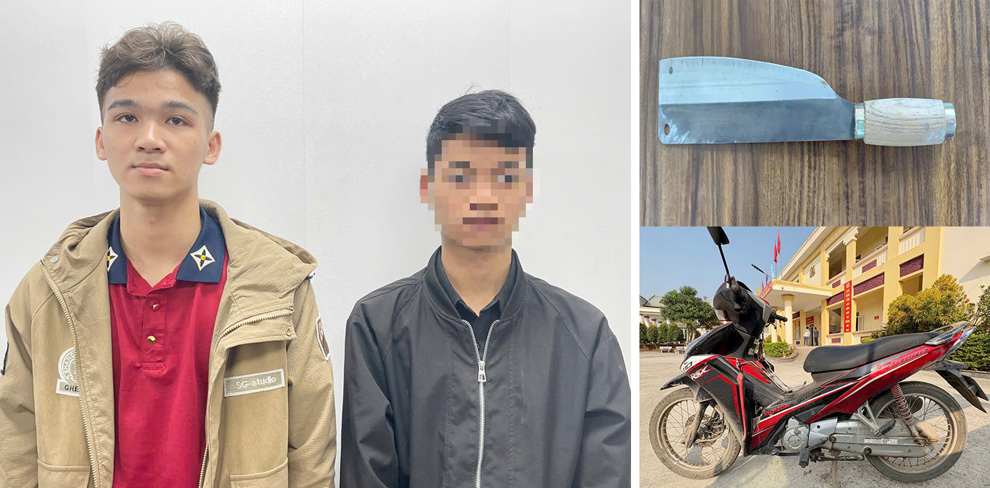 Bắt tạm giam Mai Quang Anh sinh năm 2007 - Ảnh 1.