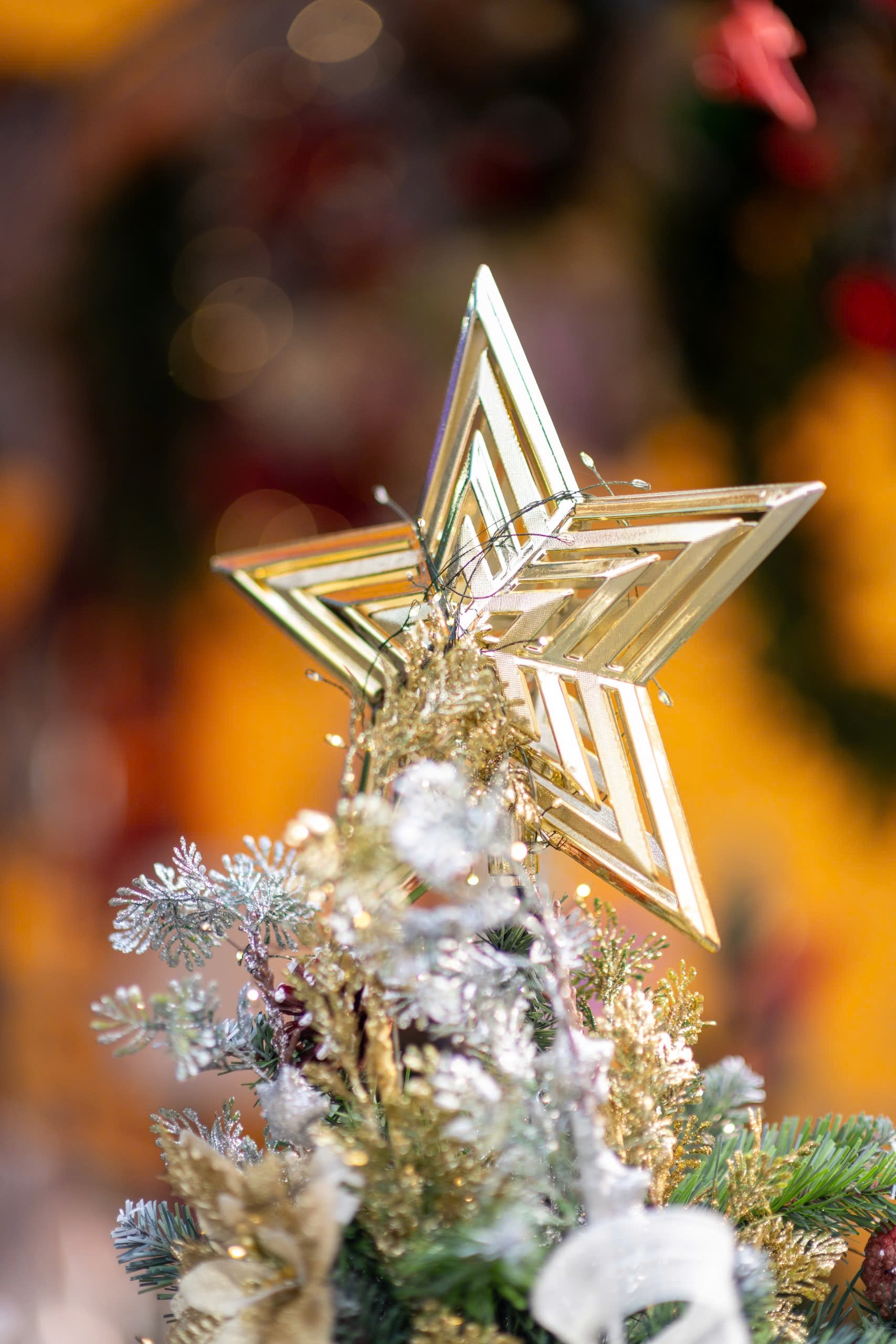 Thắp sáng mùa Giáng sinh trên thành phố mang tên Bác- Ảnh 1. Thắp sáng mùa Giáng sinh trên thành phố mang tên Bác- Ảnh 1.