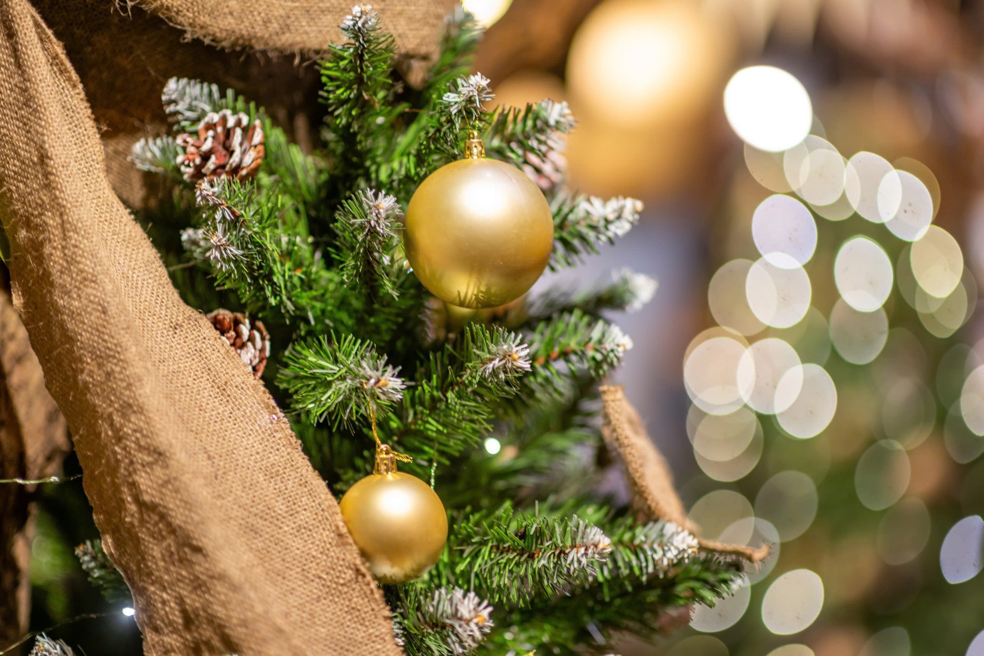 Thắp sáng mùa Giáng sinh trên thành phố mang tên Bác- Ảnh 8. Thắp sáng mùa Giáng sinh trên thành phố mang tên Bác- Ảnh 8.