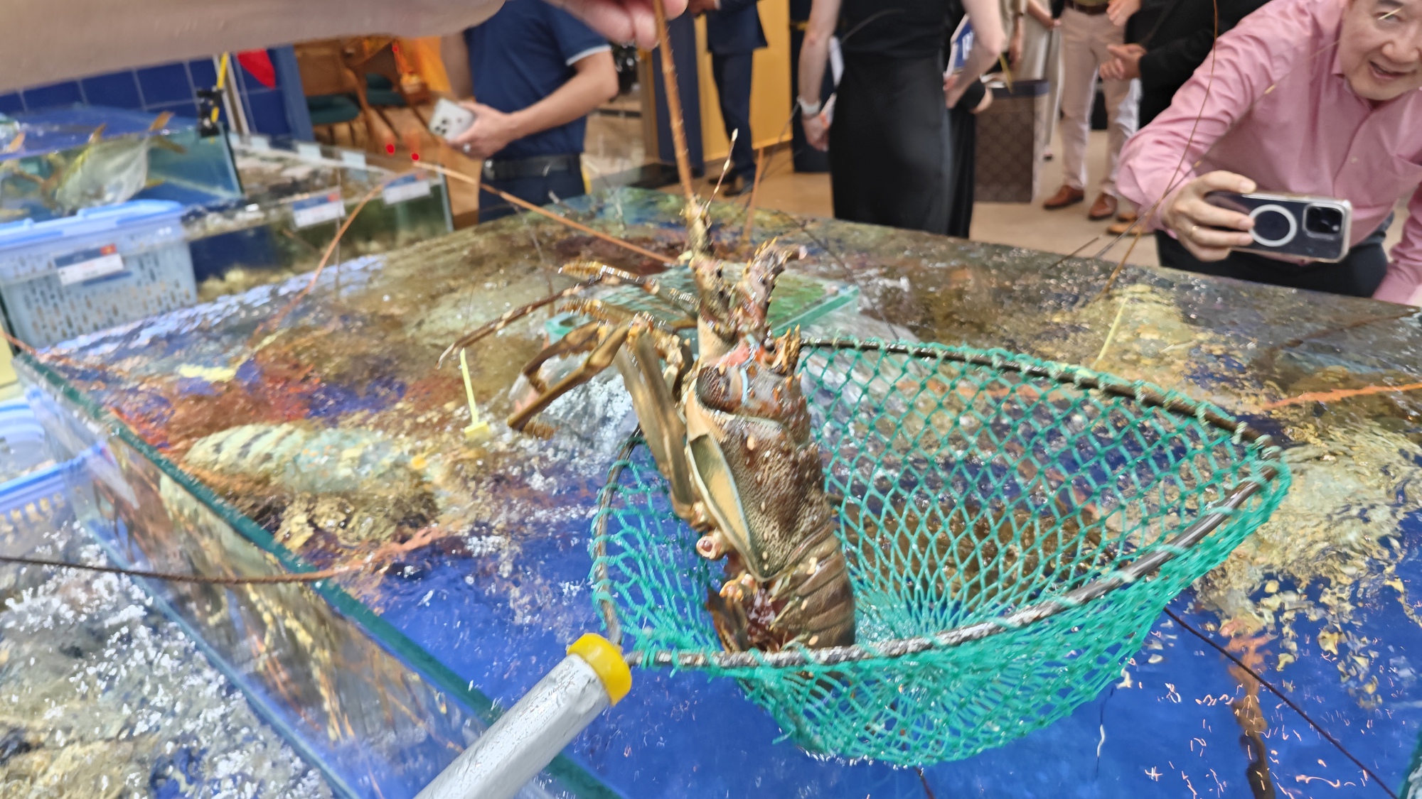 Xuất khẩu tôm lập kỷ lục - Ảnh 1.