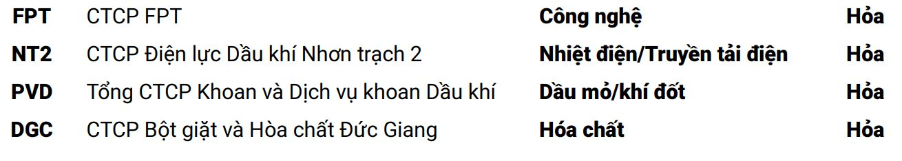 Loạt cổ phiếu “hot” có thể mang “niềm vui” cho nhà đầu tư mệnh Hỏa trong năm Ất Tỵ 2025- Ảnh 1.