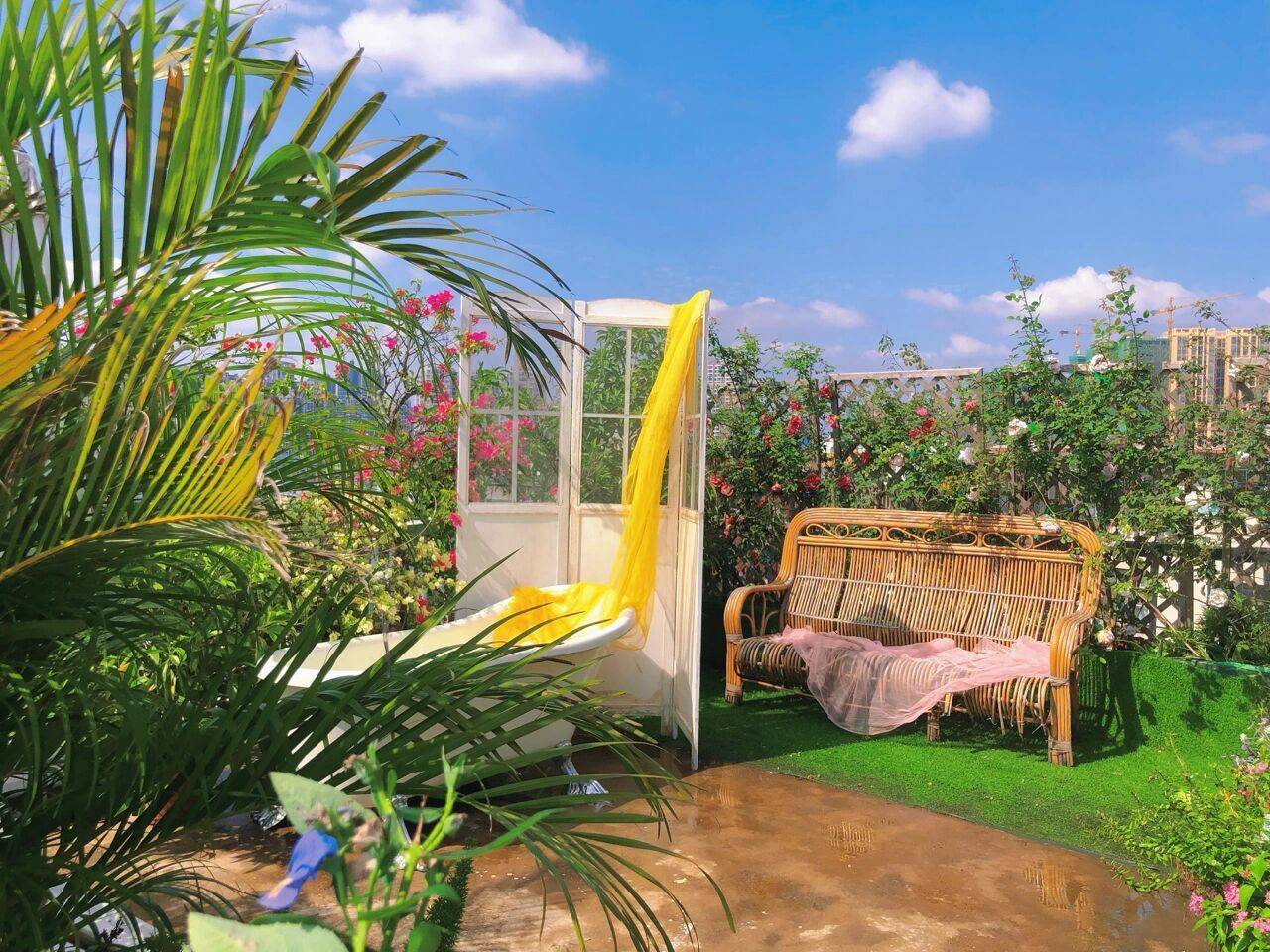 Quá mê hoa, cô gái 27 tuổi thuê luôn nhà trên sân thượng để tạo ra khu vườn đẹp như tranh vẽ của riêng mình- Ảnh 2. Quá mê hoa, cô gái 27 tuổi thuê luôn nhà trên sân thượng để tạo ra khu vườn đẹp như tranh vẽ của riêng mình- Ảnh 2.