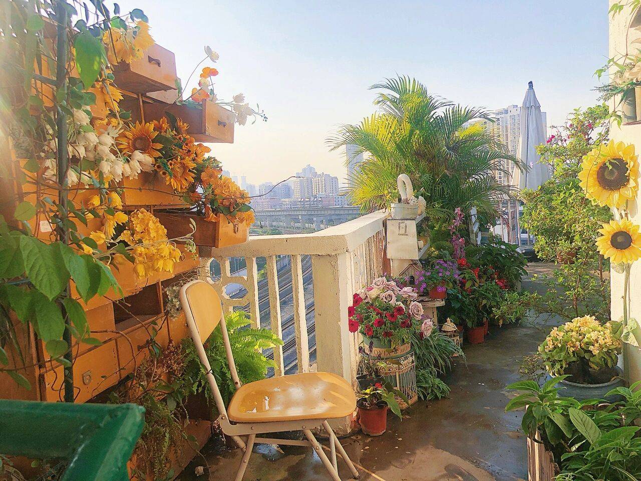 Quá mê hoa, cô gái 27 tuổi thuê luôn nhà trên sân thượng để tạo ra khu vườn đẹp như tranh vẽ của riêng mình- Ảnh 12. Quá mê hoa, cô gái 27 tuổi thuê luôn nhà trên sân thượng để tạo ra khu vườn đẹp như tranh vẽ của riêng mình- Ảnh 12.
