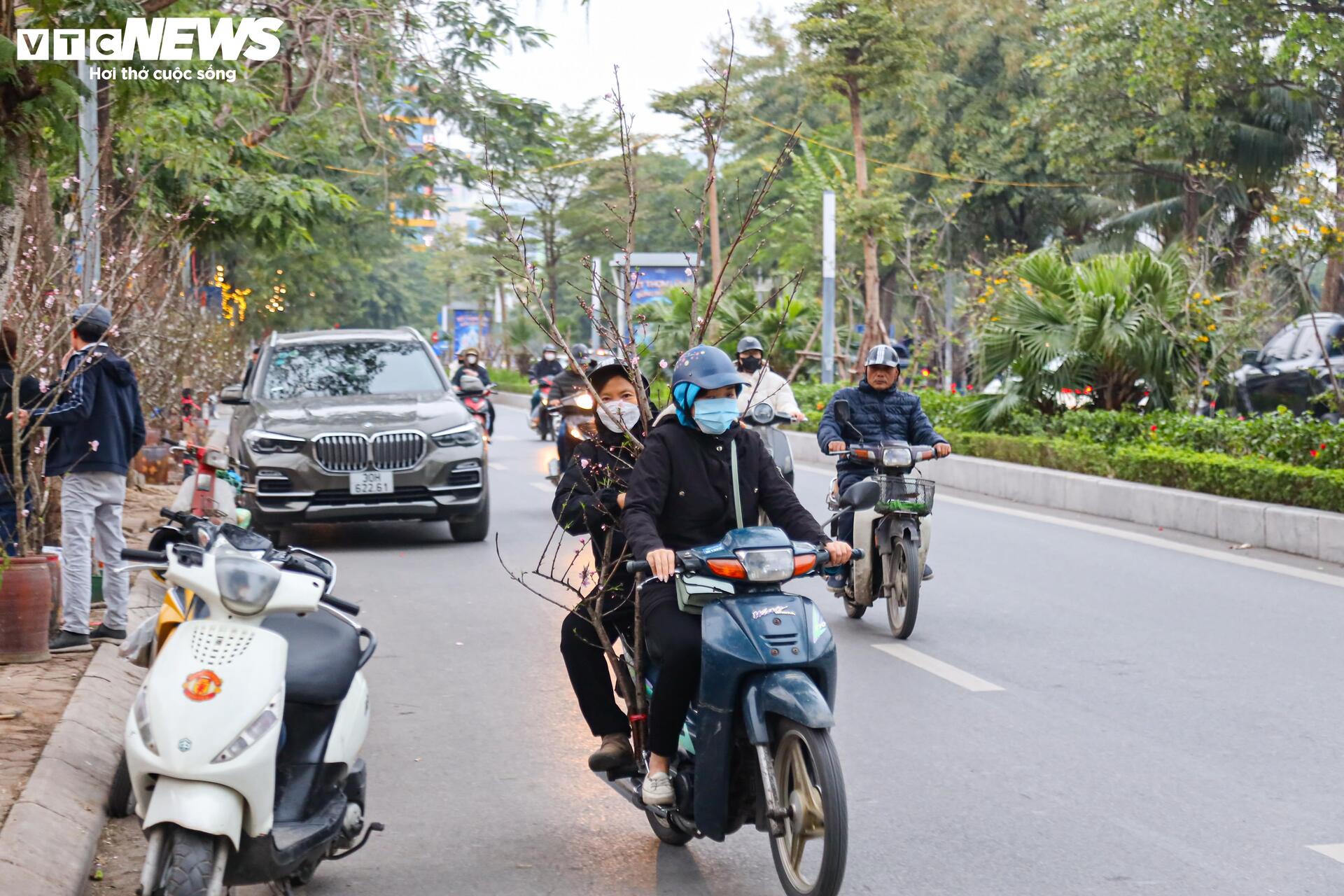 Hết Tết, người Hà Nội vẫn chi tiền triệu mua đào, lê rừng Tây Bắc- Ảnh 17. Hết Tết, người Hà Nội vẫn chi tiền triệu mua đào, lê rừng Tây Bắc- Ảnh 17.