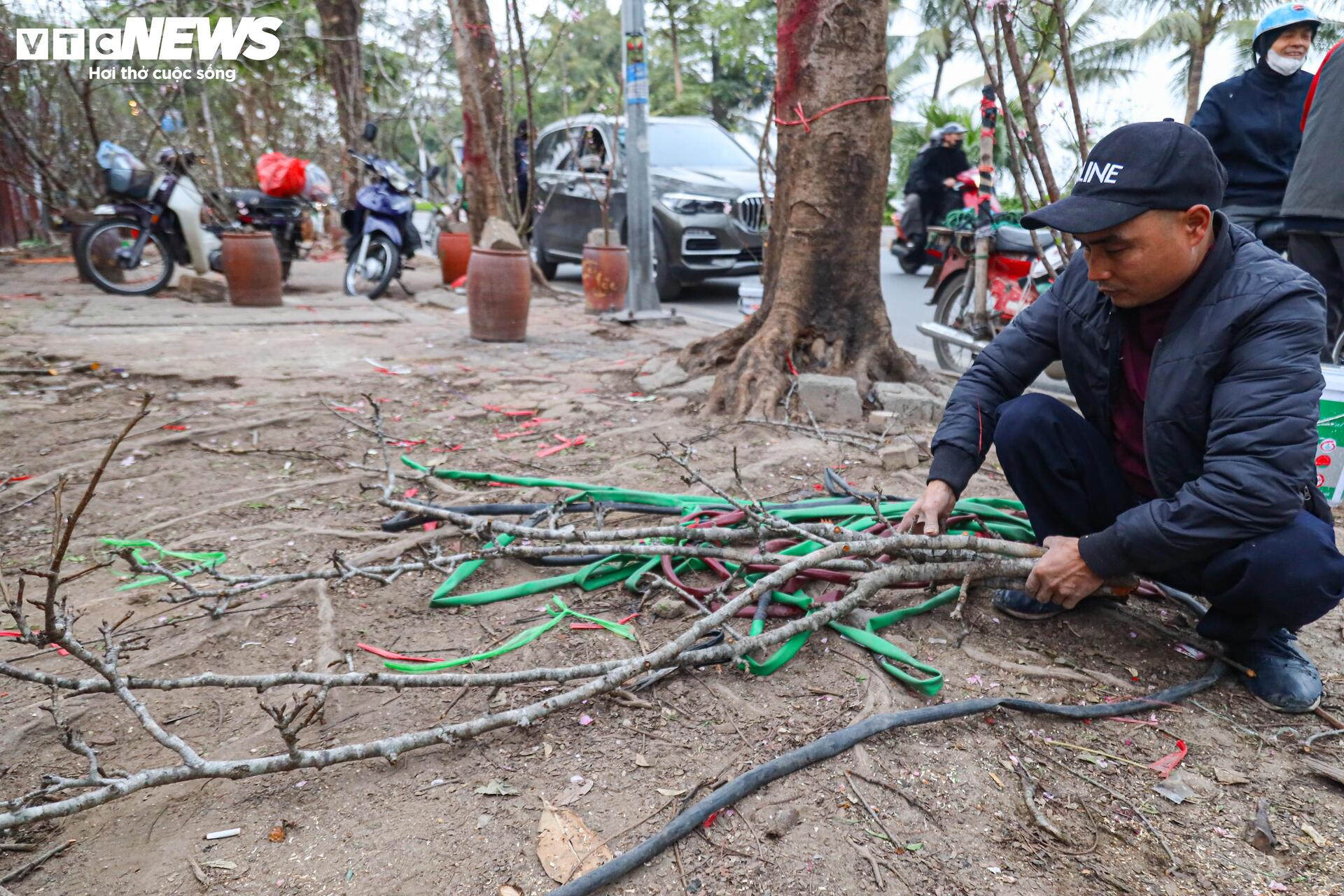 Hết Tết, người Hà Nội vẫn chi tiền triệu mua đào, lê rừng Tây Bắc- Ảnh 6. Hết Tết, người Hà Nội vẫn chi tiền triệu mua đào, lê rừng Tây Bắc- Ảnh 6.