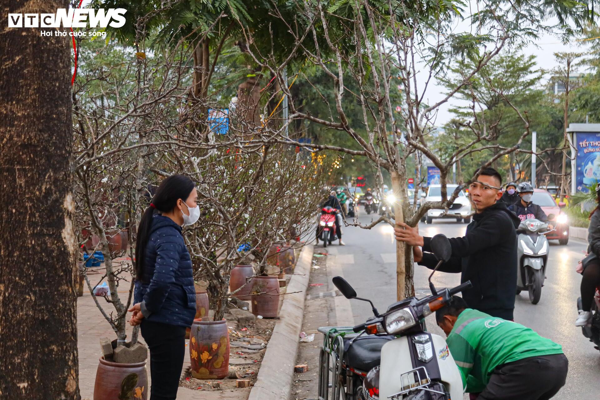 Hết Tết, người Hà Nội vẫn chi tiền triệu mua đào, lê rừng Tây Bắc- Ảnh 10. Hết Tết, người Hà Nội vẫn chi tiền triệu mua đào, lê rừng Tây Bắc- Ảnh 10.