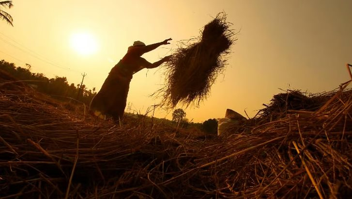 Mặt hàng chủ lực của Việt Nam đang được Ukraine mạnh tay săn lùng: Xuất khẩu tăng nóng hơn 1.300%, 150 quốc gia đang chốt đơn- Ảnh 1.