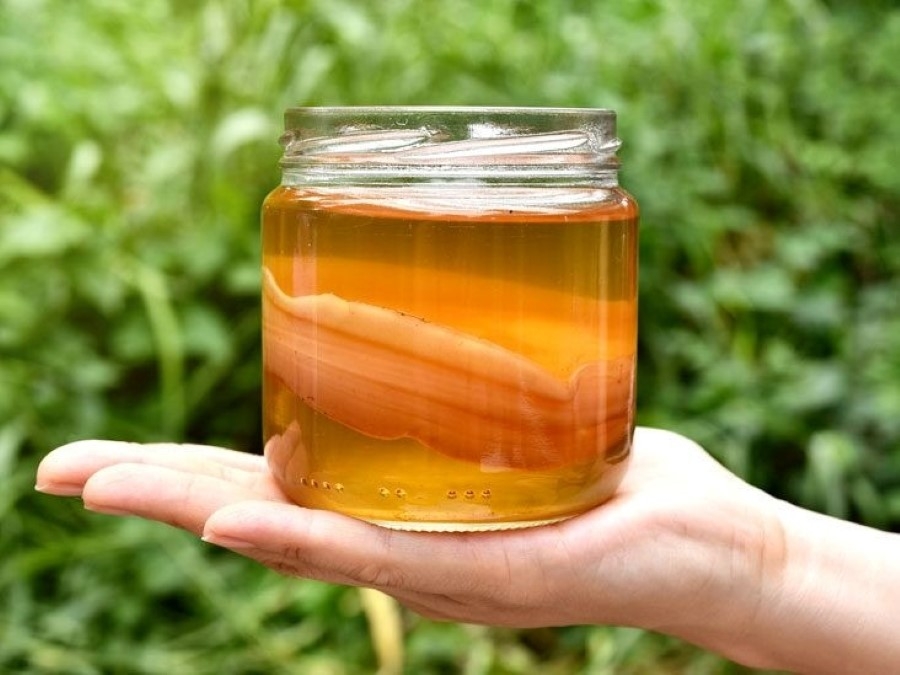 Kombucha được "vua dưỡng gan" nhưng cẩn trọng loạt tác dụng phụ không ngờ này- Ảnh 1.