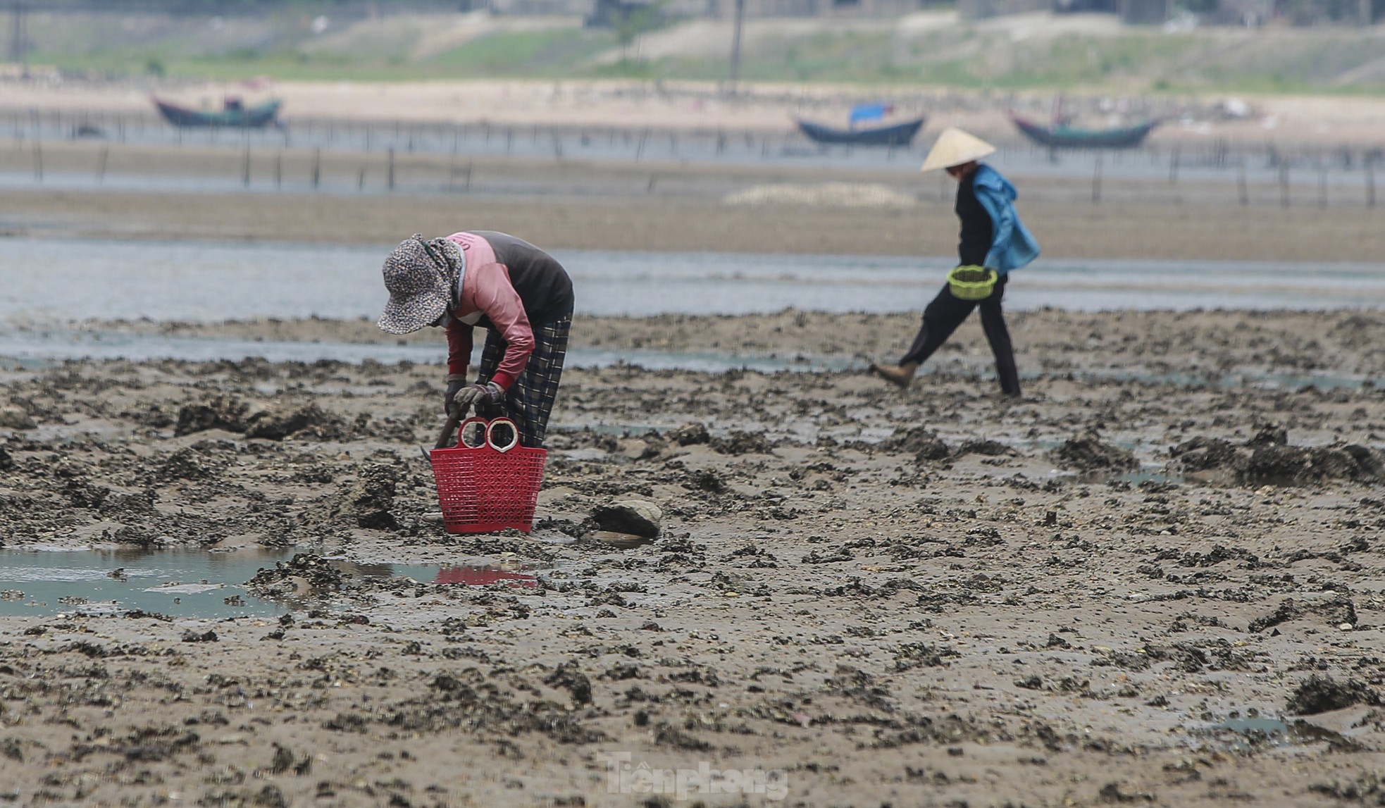 Mưu sinh nơi cửa biển giữa giá rét ngày đầu năm- Ảnh 4.