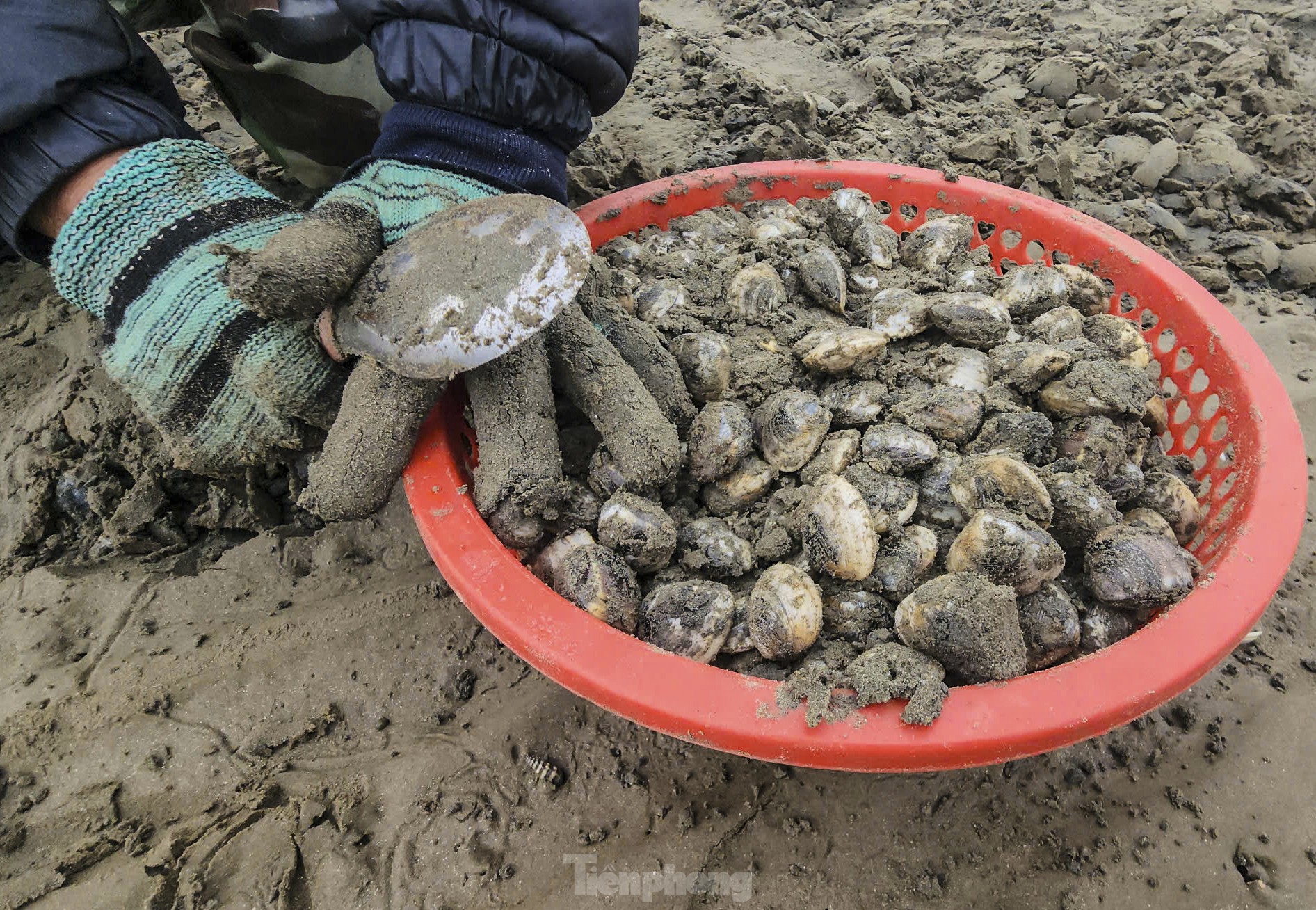 Mưu sinh nơi cửa biển giữa giá rét ngày đầu năm- Ảnh 2.