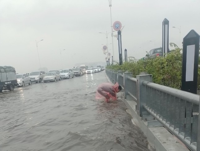 Cây xanh trên cầu Vĩnh Tuy 2 chết khô- Ảnh 5.