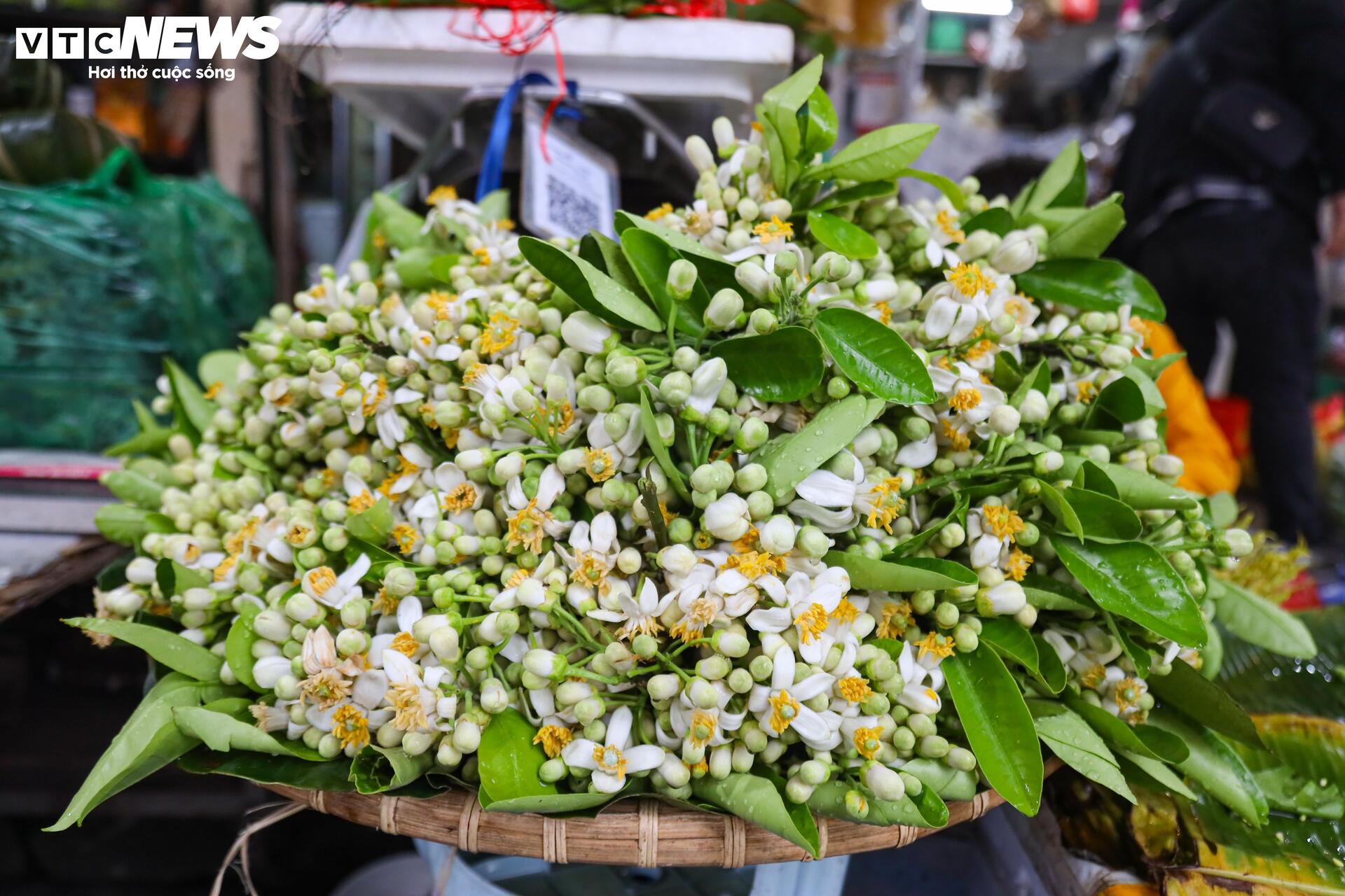 Người Hà Nội đội mưa sắm đồ cúng rằm tháng Giêng, giá hoa tươi vẫn đắt ngang Tết- Ảnh 10.