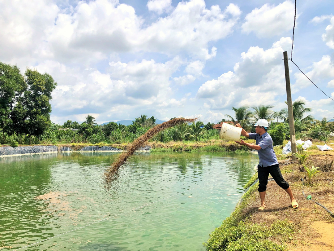 Nuôi loài vật chỉ ăn "nhì nhằng", anh nông dân nhẹ nhàng kiếm 9 tỷ đồng- Ảnh 1. Nuôi loài vật chỉ ăn "nhì nhằng", anh nông dân nhẹ nhàng kiếm 9 tỷ đồng- Ảnh 1.