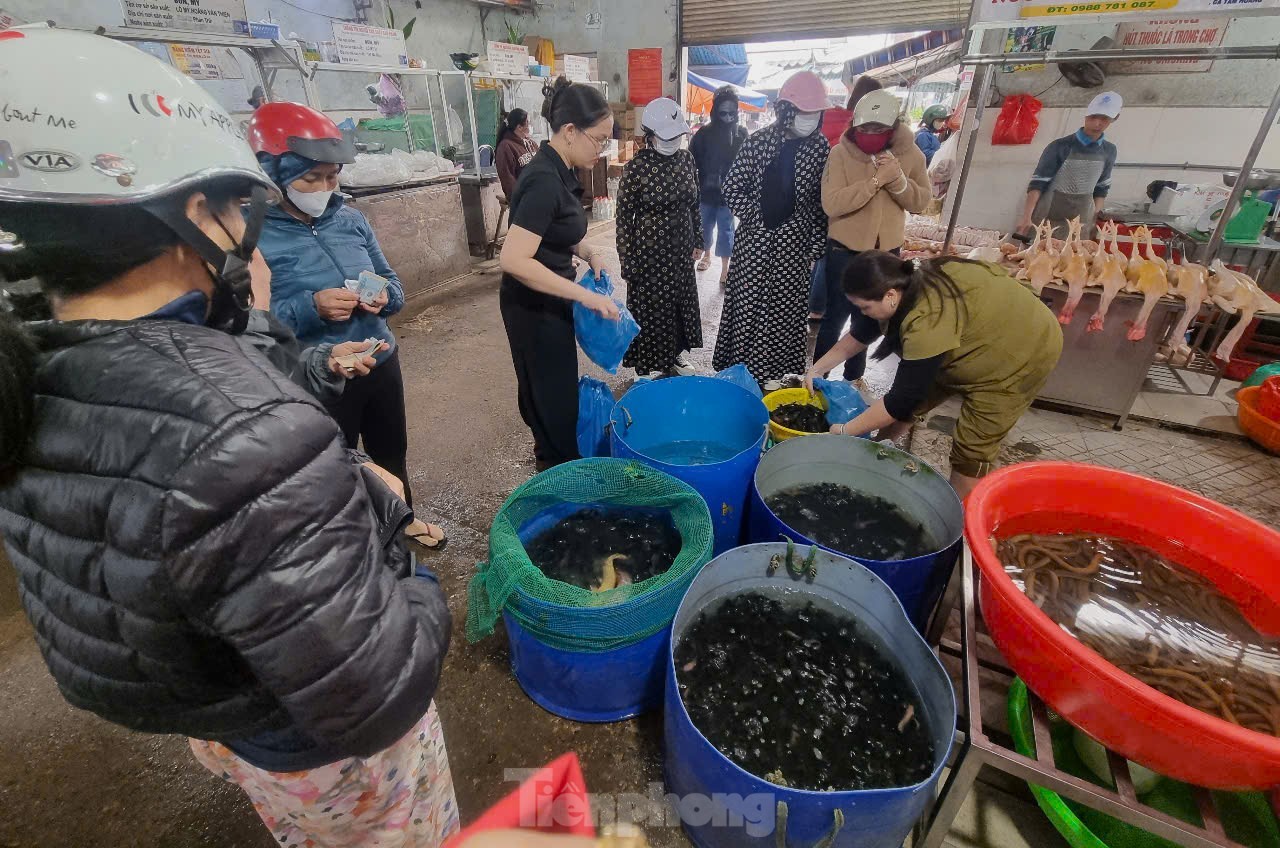 Ngày rằm tháng Giêng, hàng cá phóng sinh đông nghịt, người mua không thèm mặc cả- Ảnh 4.