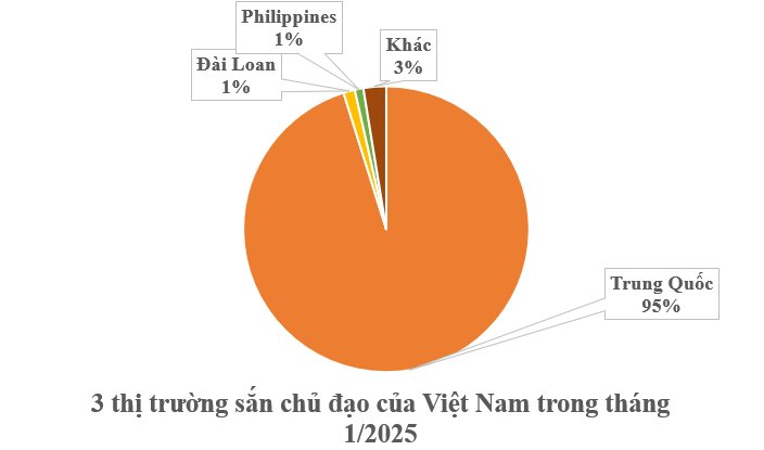 Philippines mạnh tay săn lùng một nông sản của Việt Nam: Từ thân đến lá đều hái ra tiền, nước ta cùng Thái Lan thống trị toàn cầu- Ảnh 2.