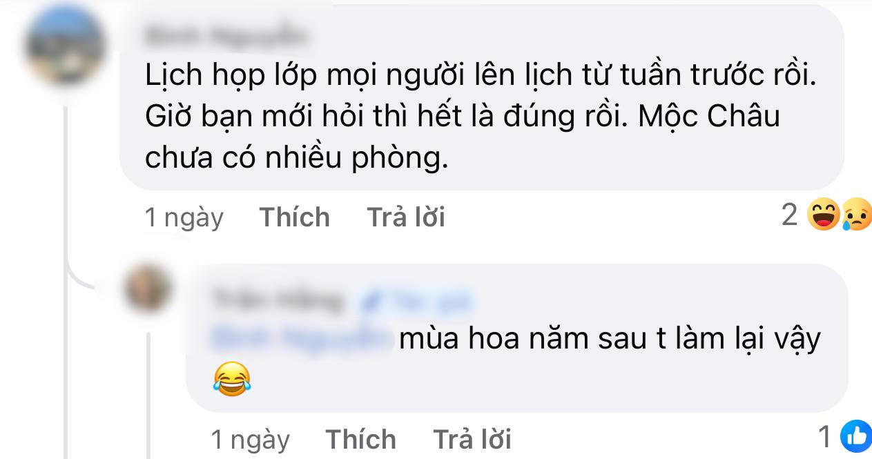 Săn lùng khách sạn ở Mộc Châu: Chủ mang cả phòng gia đình ra hỗ trợ, du khách gọi liên tục 2 ngày đều không có chỗ- Ảnh 8.