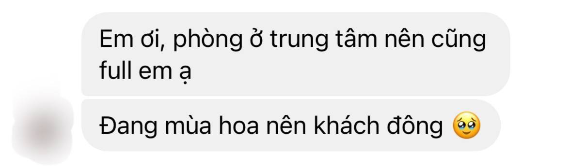 Săn lùng khách sạn ở Mộc Châu: Chủ mang cả phòng gia đình ra hỗ trợ, du khách gọi liên tục 2 ngày đều không có chỗ- Ảnh 3.