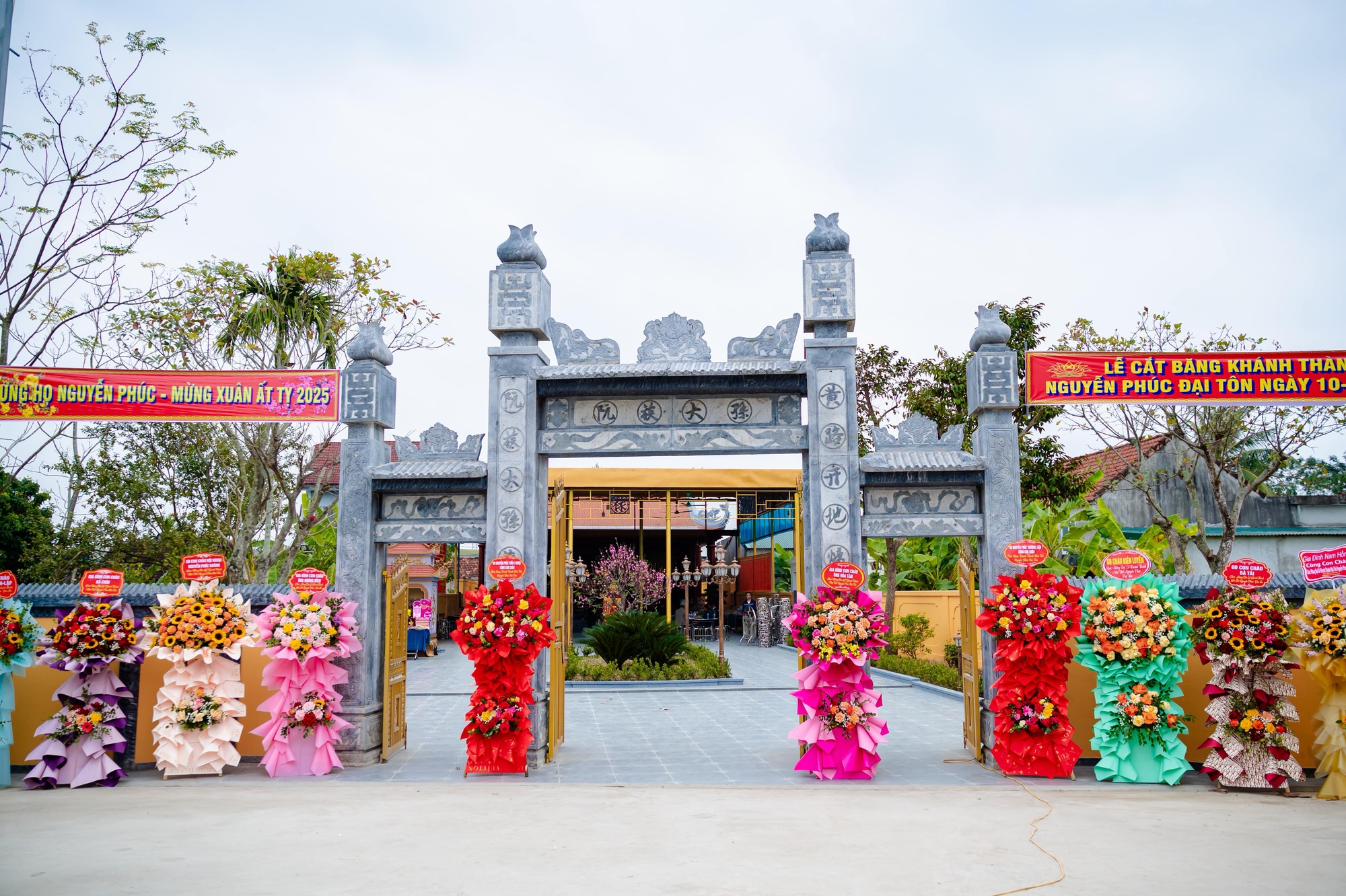 Bức ảnh Bức ảnh