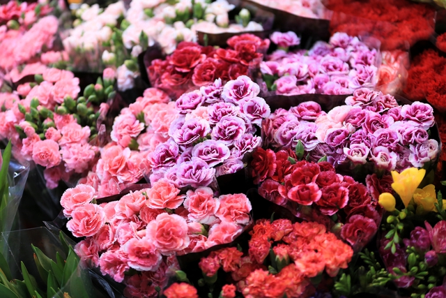 Cảnh vắng lặng chưa từng có trong suốt nhiều năm qua tại chợ hoa lớn nhất Hà Nội dịp Valentine- Ảnh 7. Cảnh vắng lặng chưa từng có trong suốt nhiều năm qua tại chợ hoa lớn nhất Hà Nội dịp Valentine- Ảnh 7.