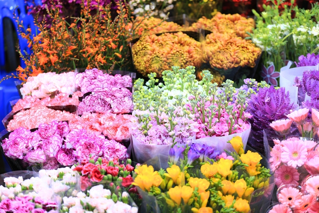 Cảnh vắng lặng chưa từng có trong suốt nhiều năm qua tại chợ hoa lớn nhất Hà Nội dịp Valentine- Ảnh 5. Cảnh vắng lặng chưa từng có trong suốt nhiều năm qua tại chợ hoa lớn nhất Hà Nội dịp Valentine- Ảnh 5.