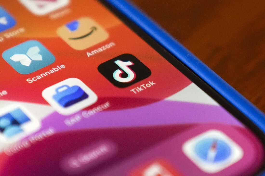 TikTok trở lại App Store sau khi bị cấm- Ảnh 1.