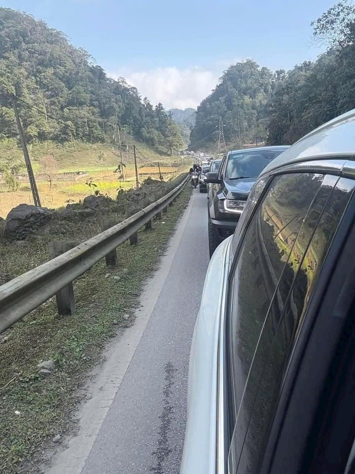 Du khách đổ xô ngắm hoa mận 'đẹp chưa từng thấy', khách sạn Mộc Châu 'thất thủ'- Ảnh 3.